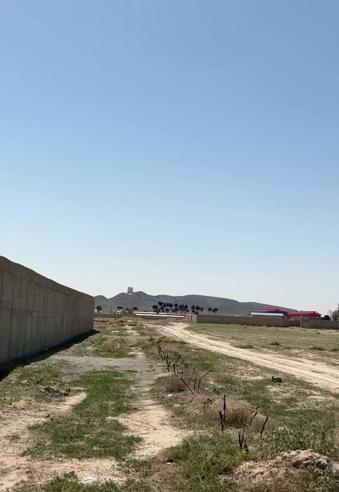 * فروش زمین کشاورزی *