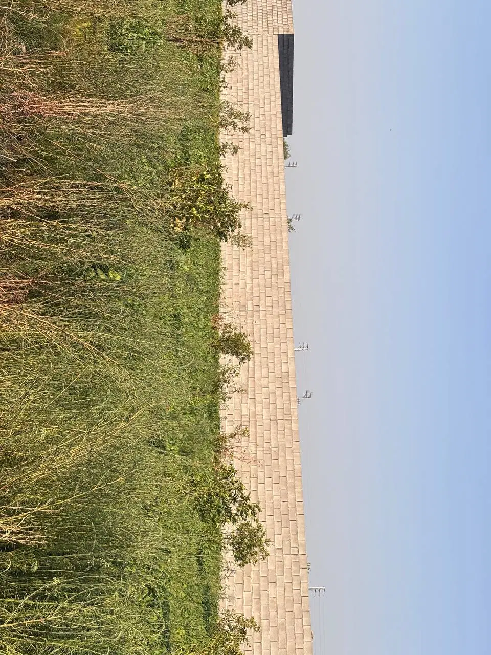 باغ،باغچه،برقدار