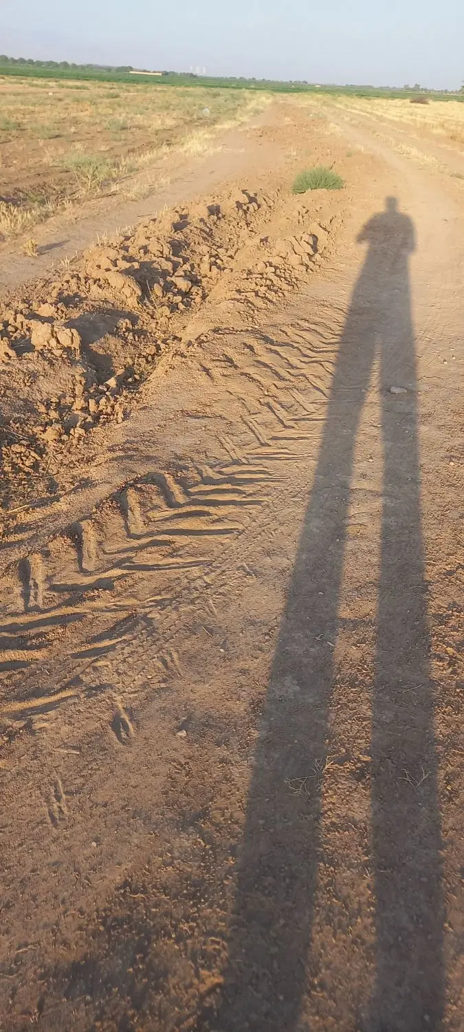 زمین بحر خیابان