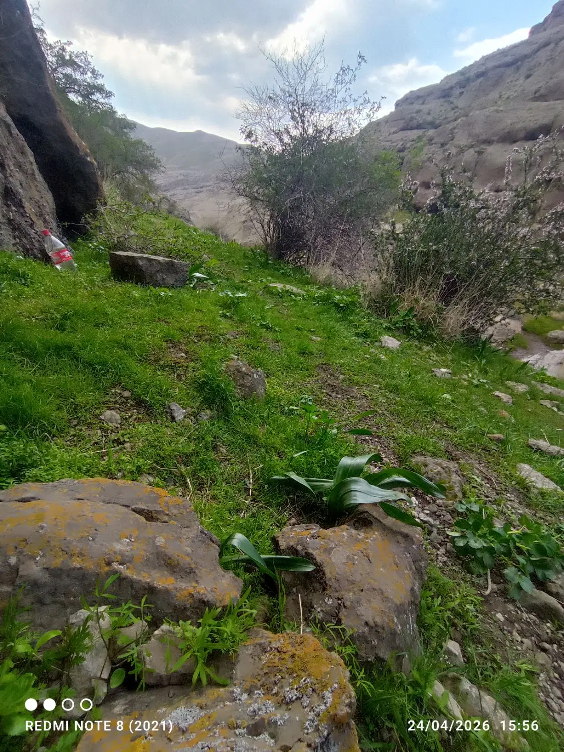 قطعه زمین