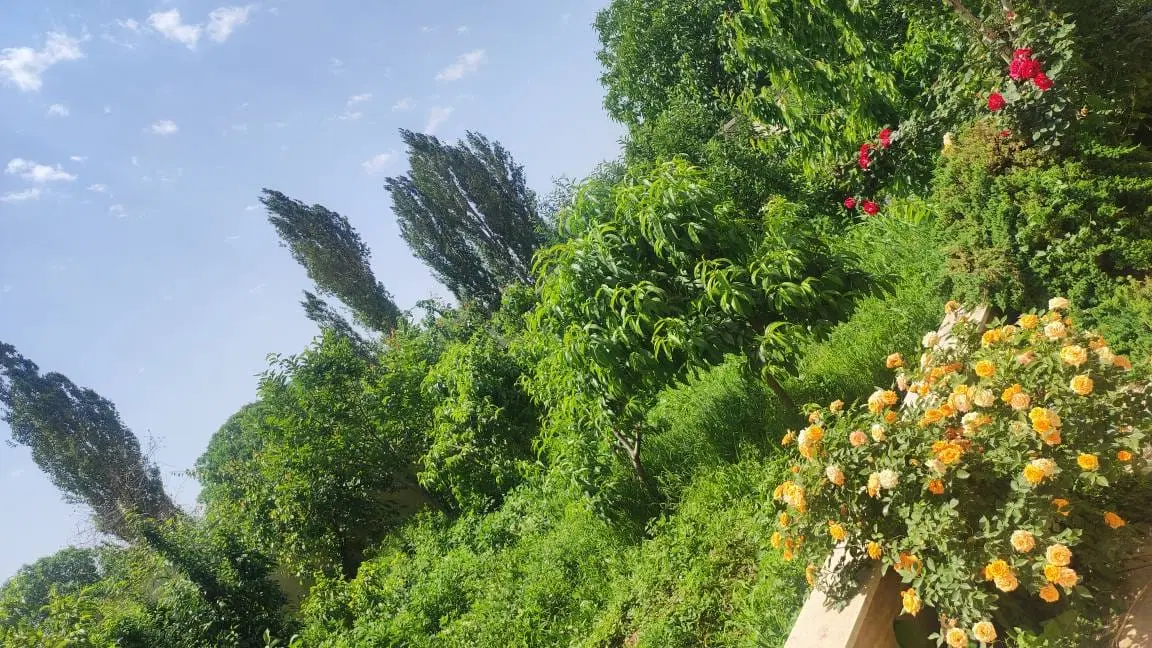 فرهنگ شهر باغ هزارمتری