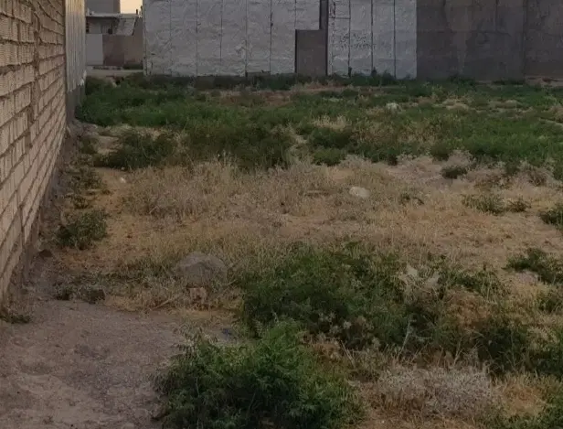 زمین پگاه
