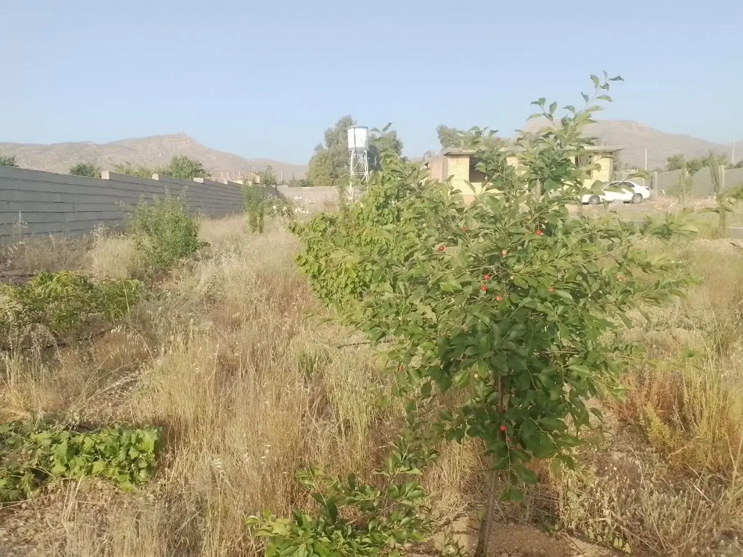 باغ شهری ویلا ۲۸۰۰ متر سیاخ قابل تهاتر