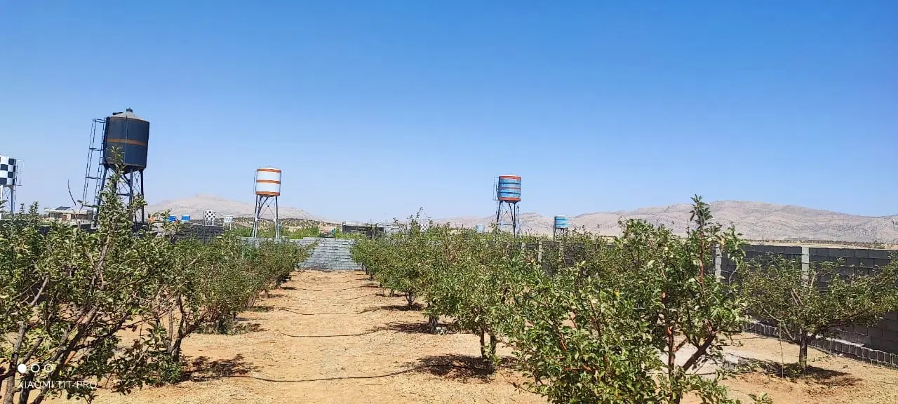 کودیان باغ آبی