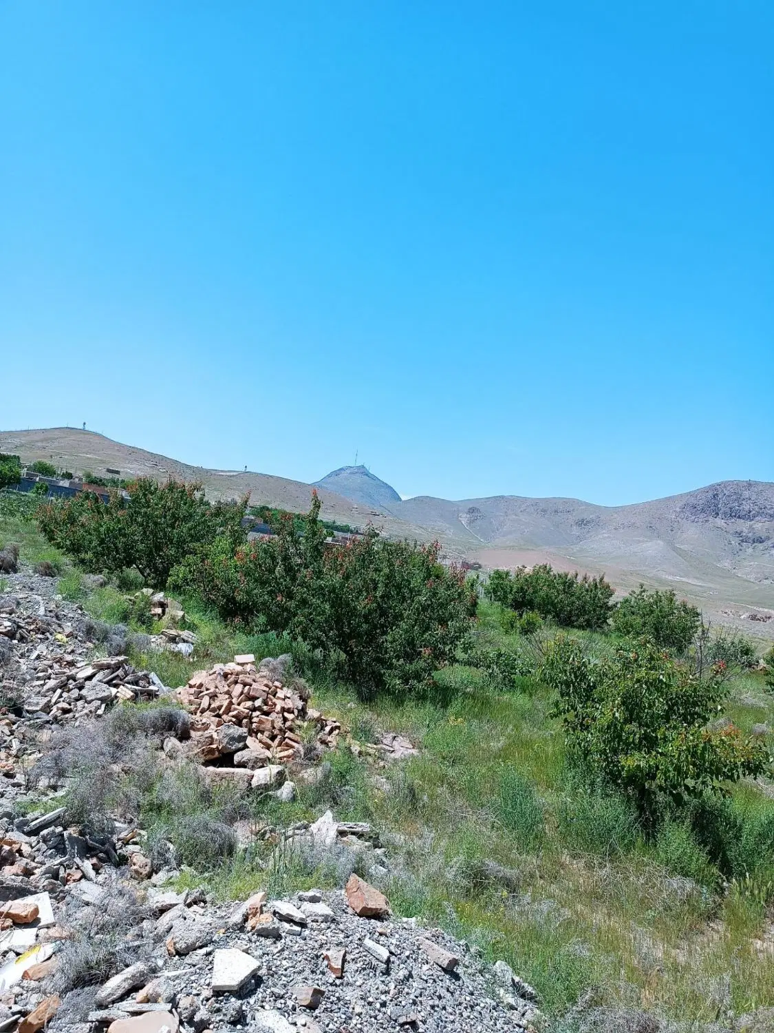 زمین مسکونی در گلمانخانه