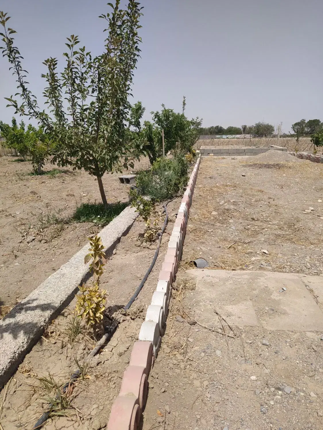 باغچه نقلی قیمت مناسب