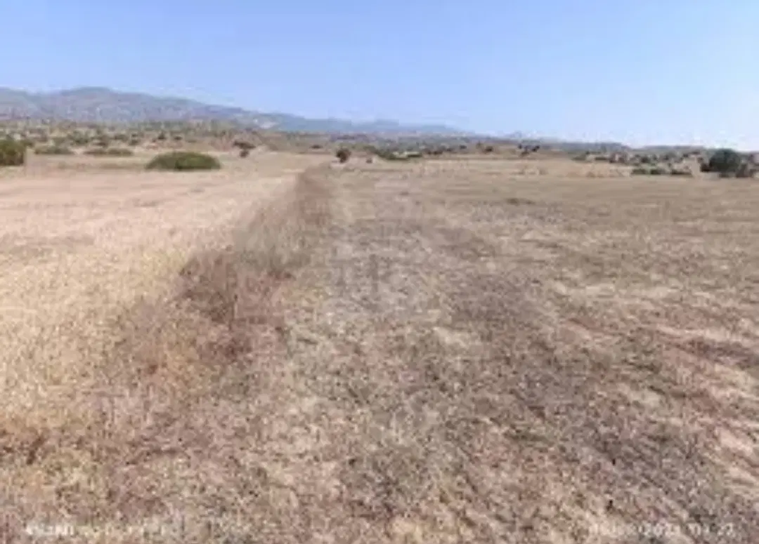 یک قطعه زمین مسکونی