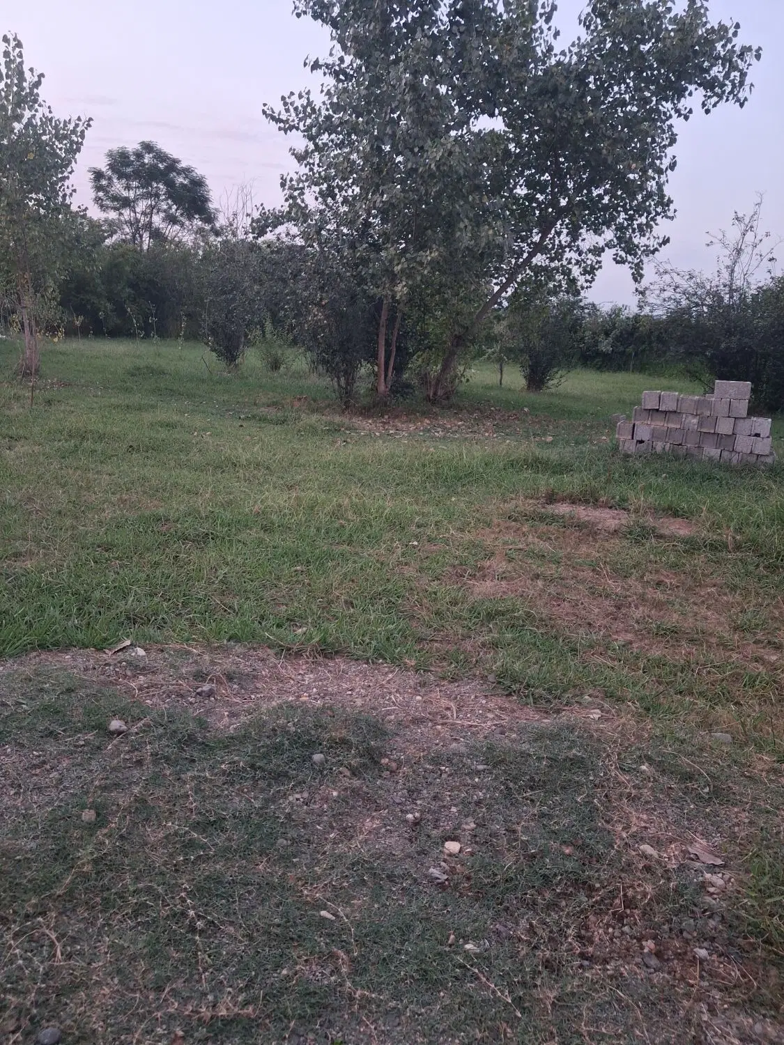 فروش زمین در روستای گردشگری سقالکسار.