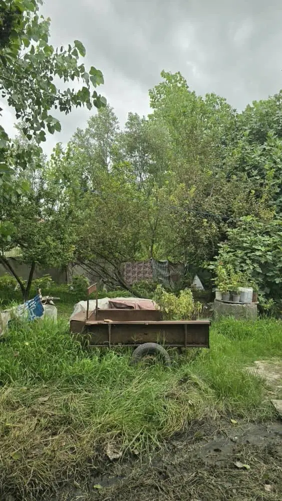 خانه محوطه و شالی ۱۷_۰۰۰متری بر اسفالت
