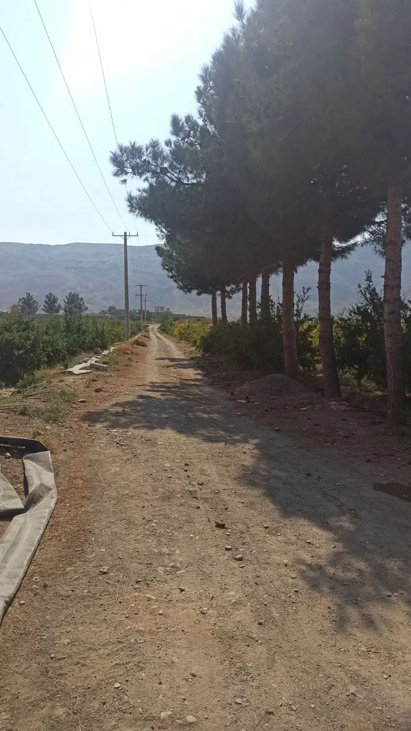 باغ و زمین زراعی در ساوه