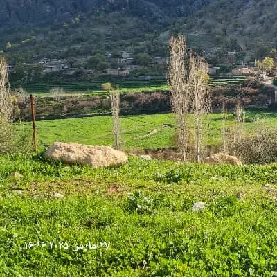 زمین مسکونی