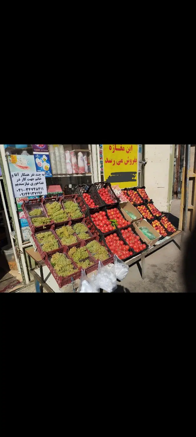 فروشگاه المهدی در اناخاتون