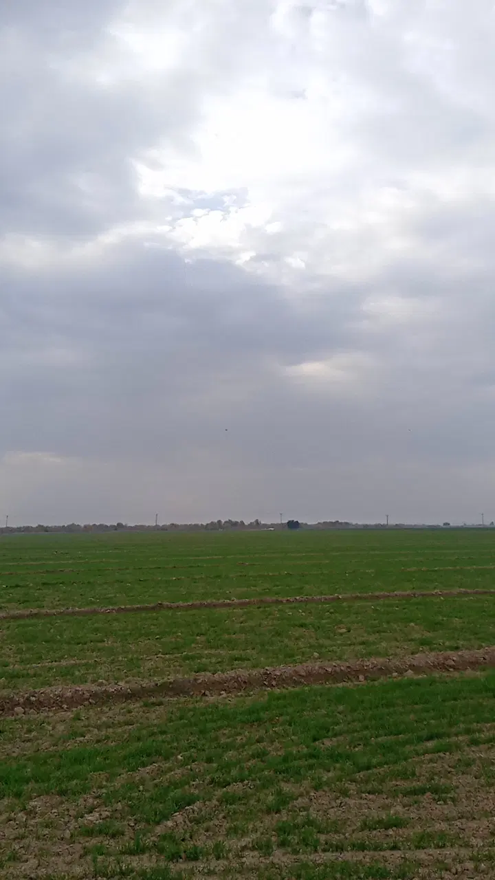 اجاره زمین کشاورزی