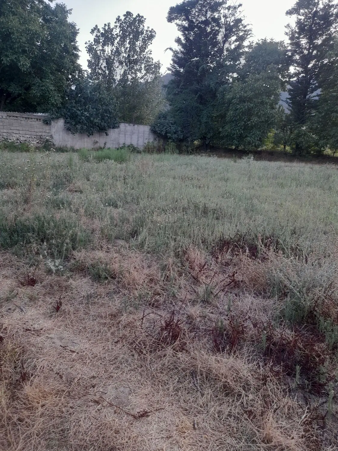 زمین مسکونی