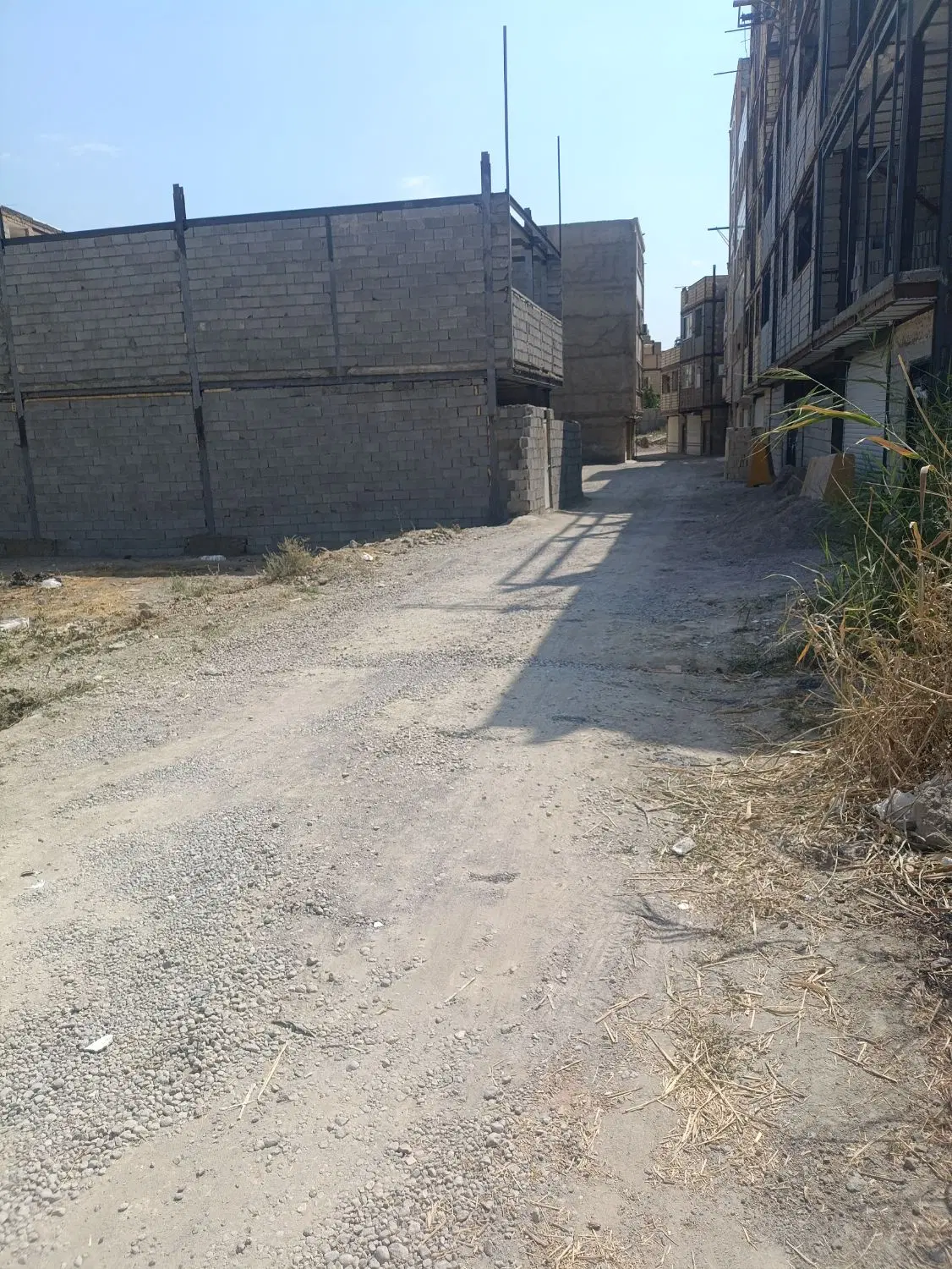 زمین اشرفی لاله