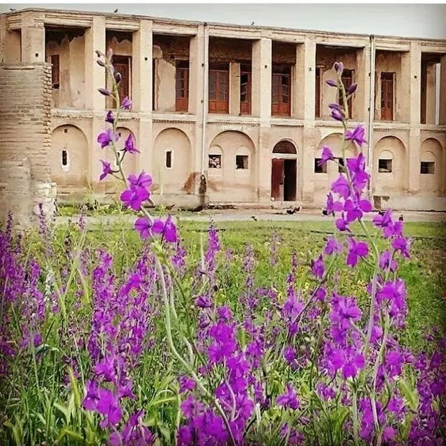 زمین باغی روستای دایی چی