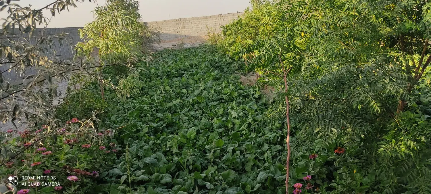 چهار  دیواری فول امکانات