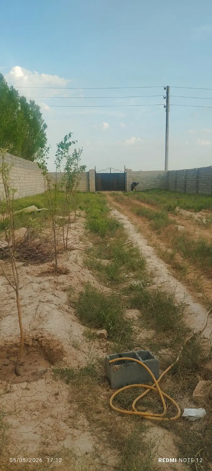 املاک