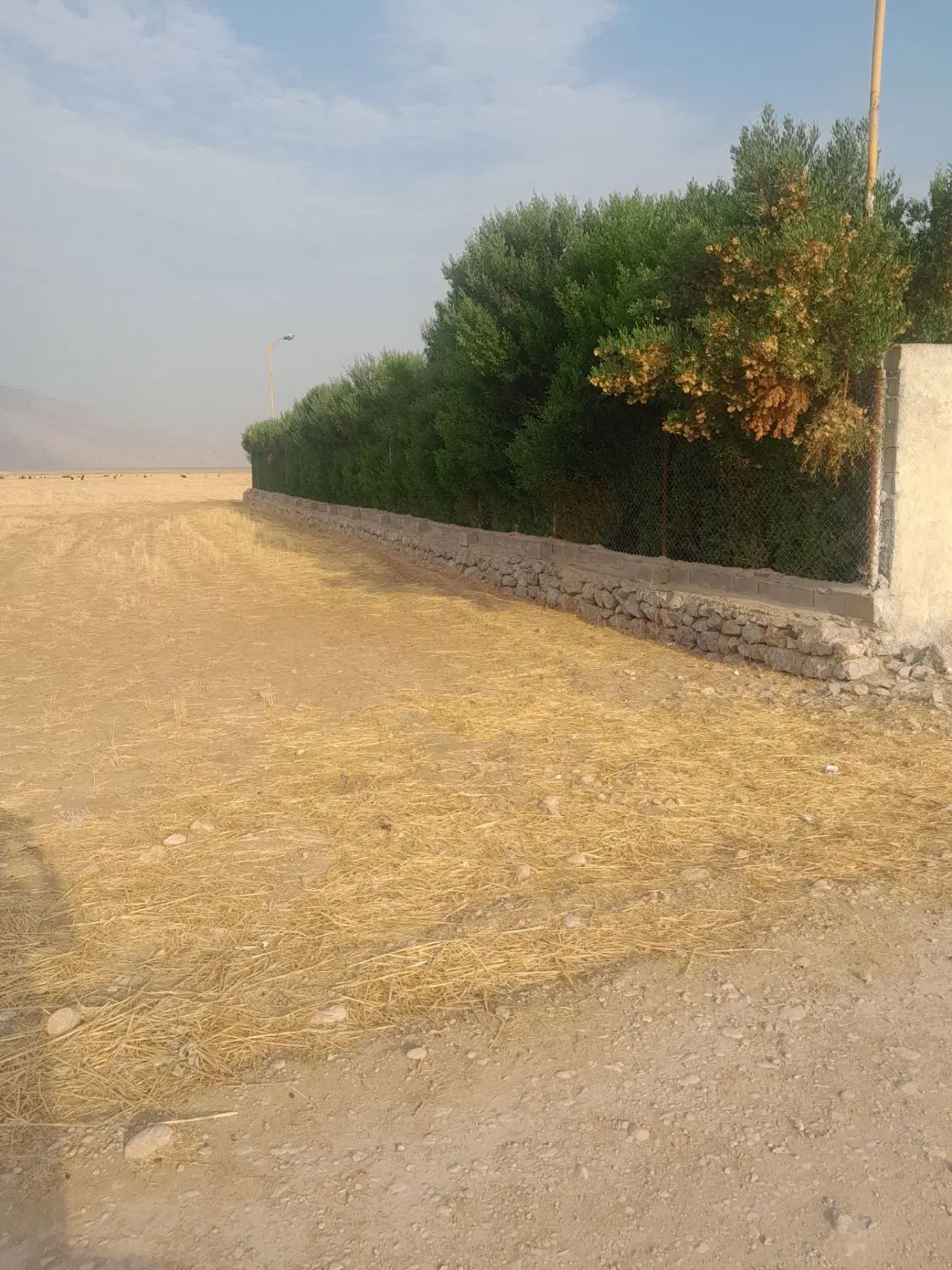 زمین میان گران علیا