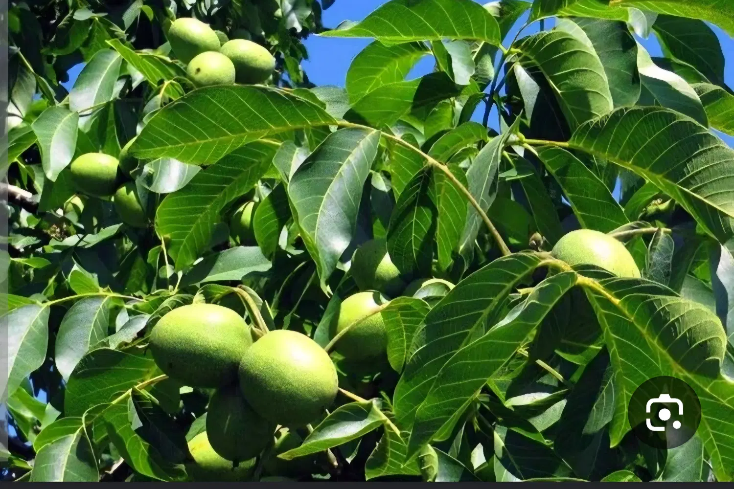 فروش زمین کشاورزی و آب
