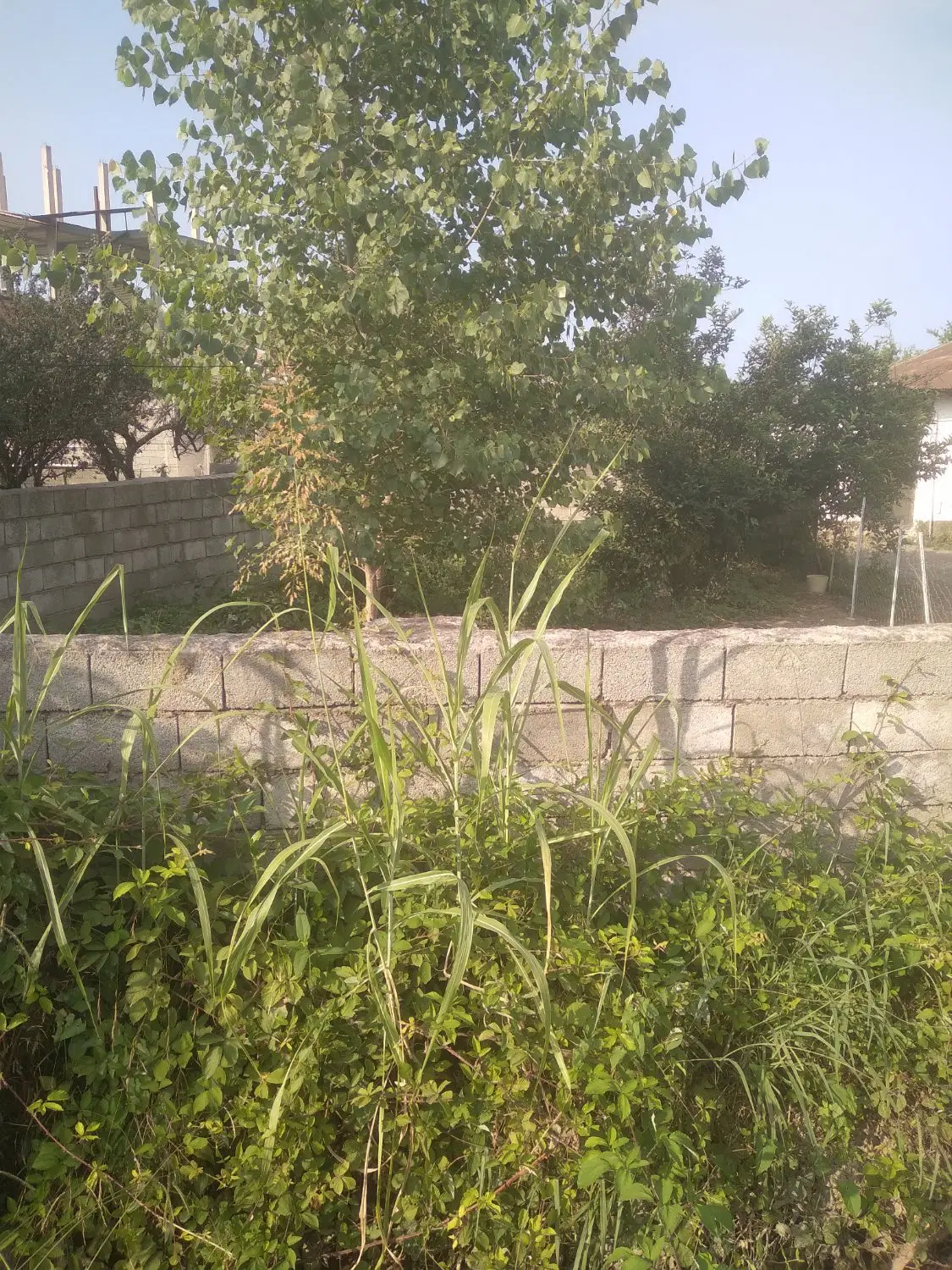 ۱۲۲متر با پروانه دوطبقه ویلا نقلی محیط روستایی