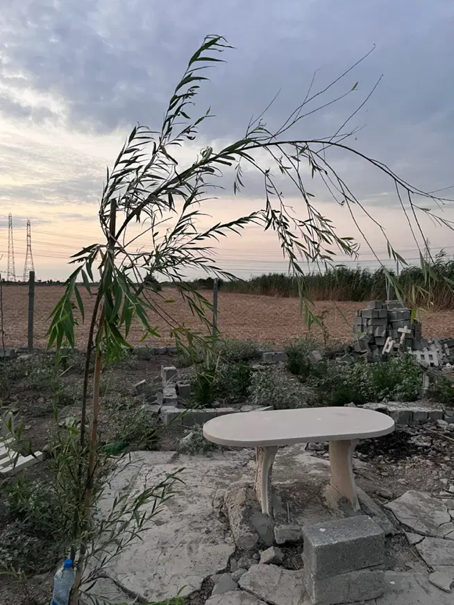 زمین باغی