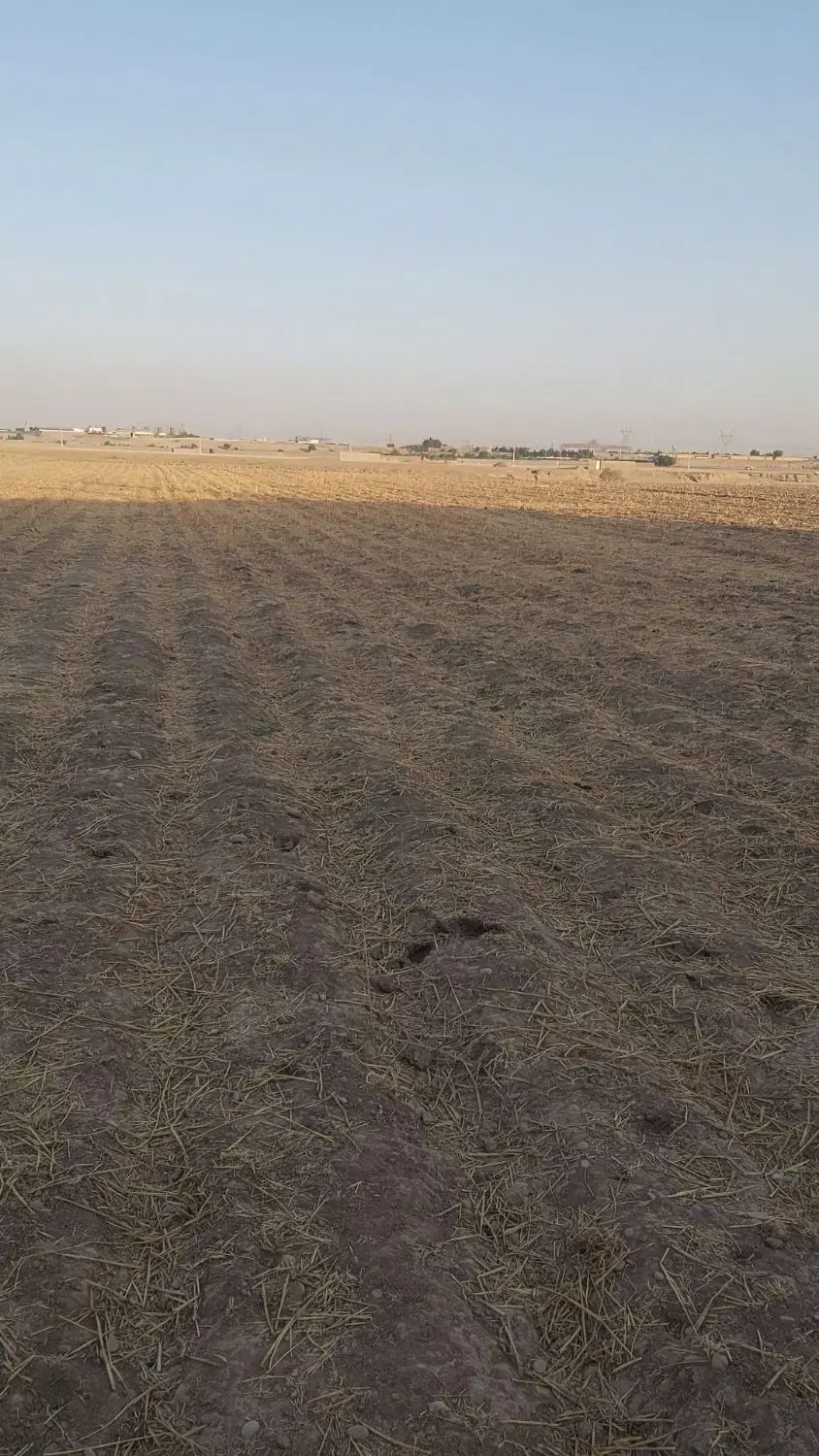 زمین با مجوز گلخانه