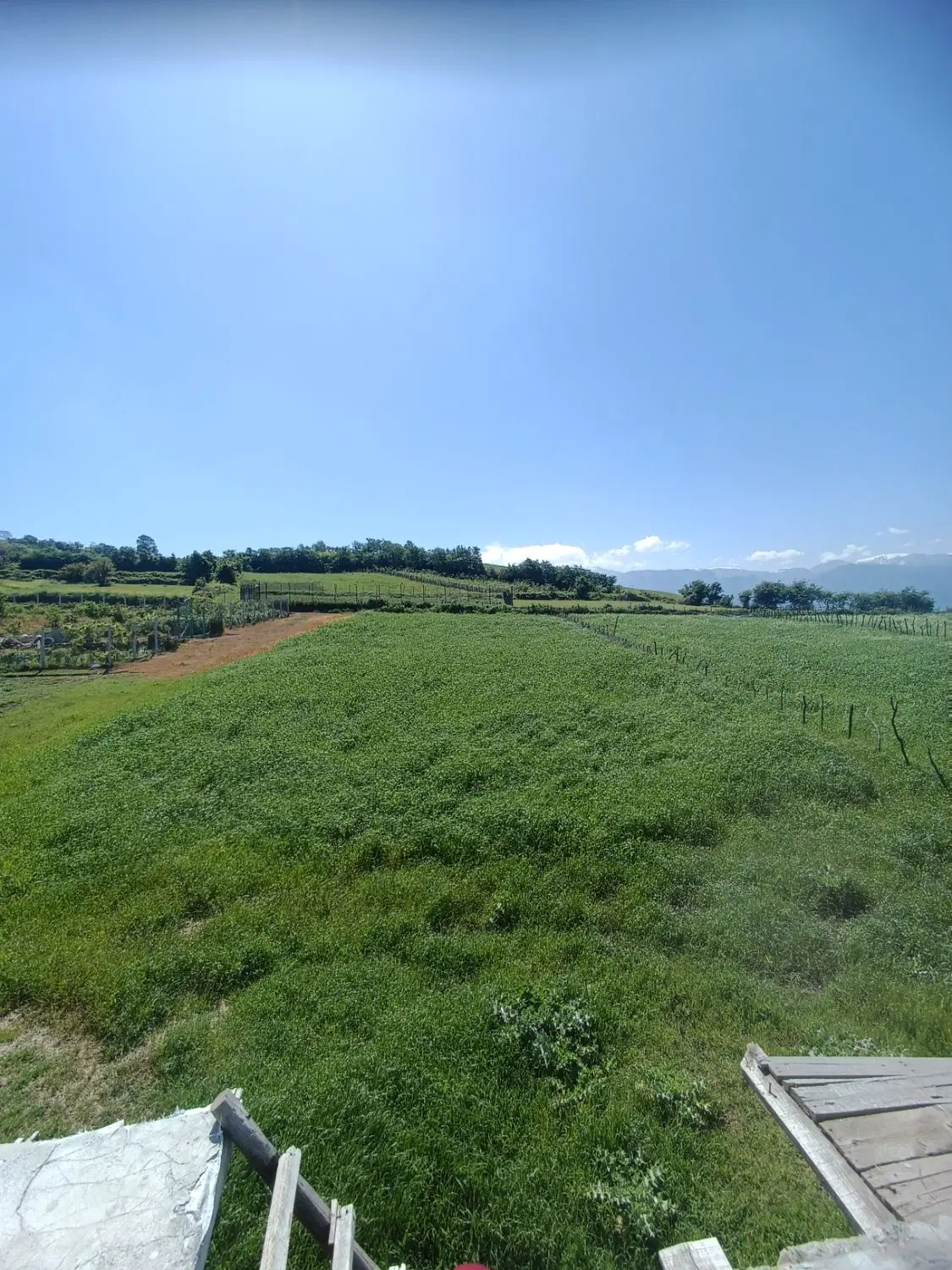 زمین برای خانه باغ واقع در روستای سعدآباد