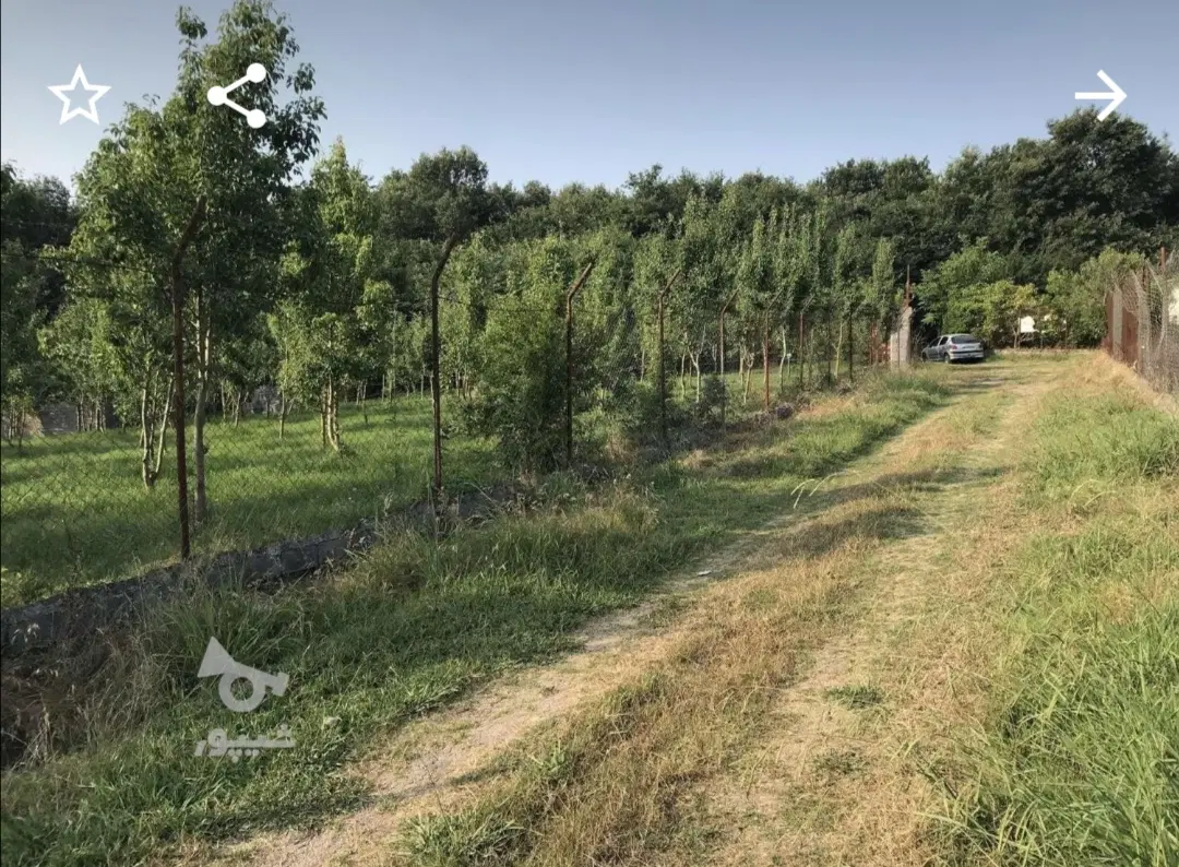 زمین  کشاورزی  باغ