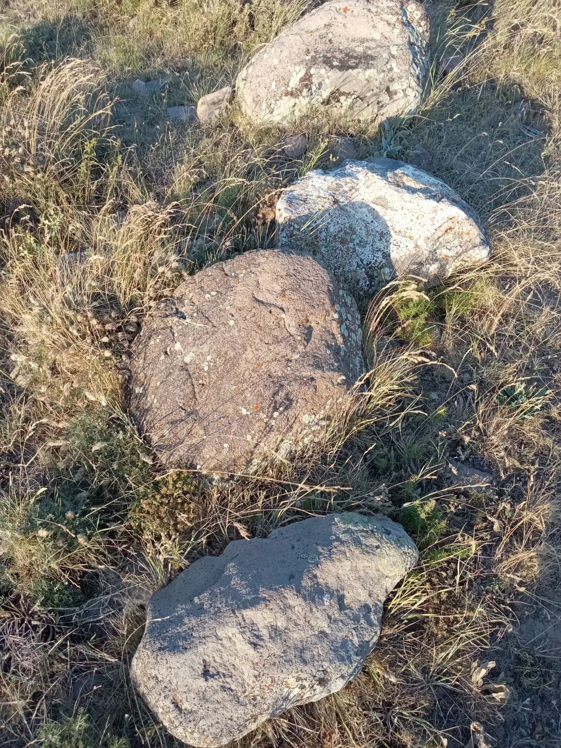 زمین کارگاهی و مسکونی 200 متر در روستای الوار