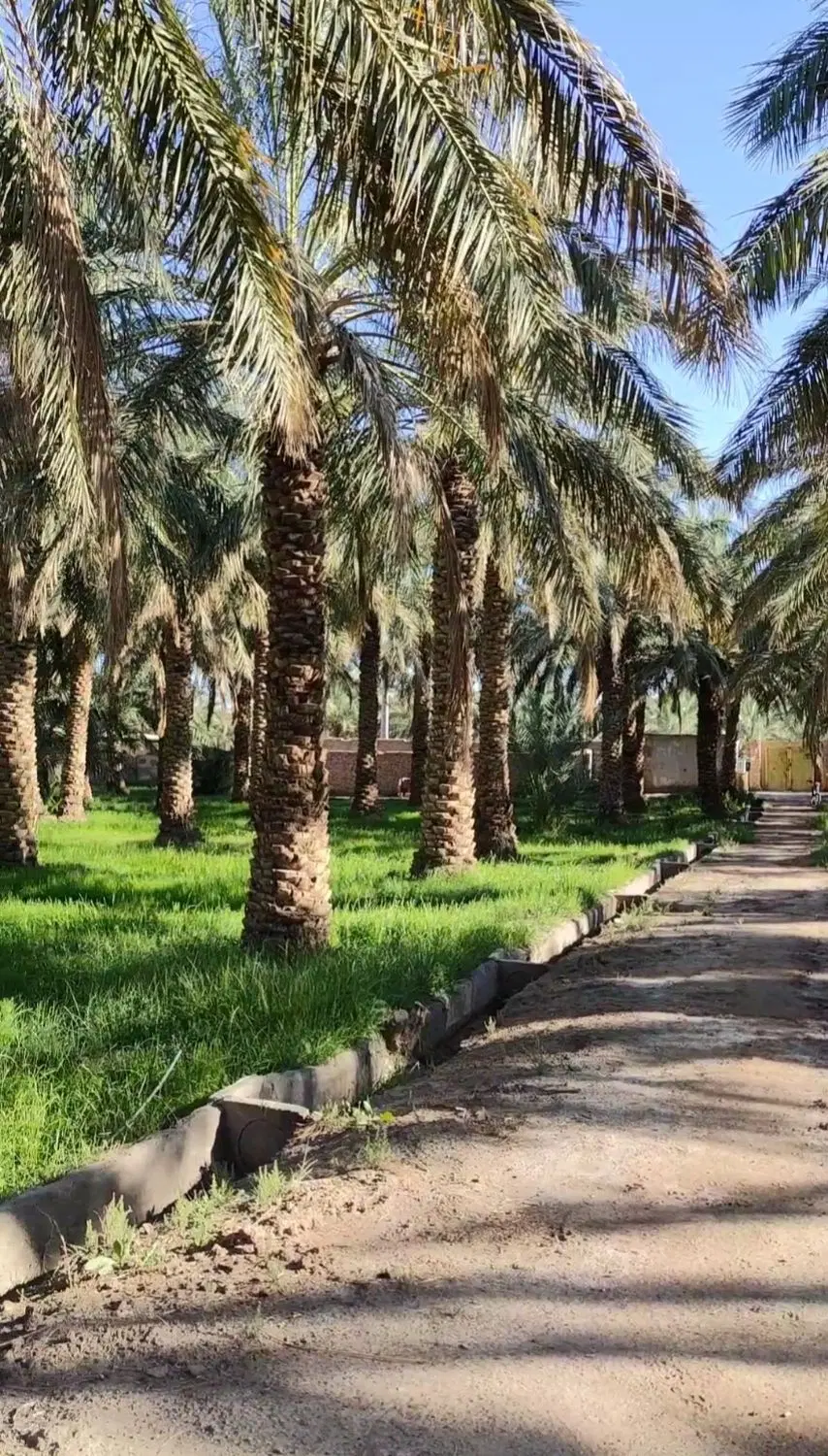 فروش باغ