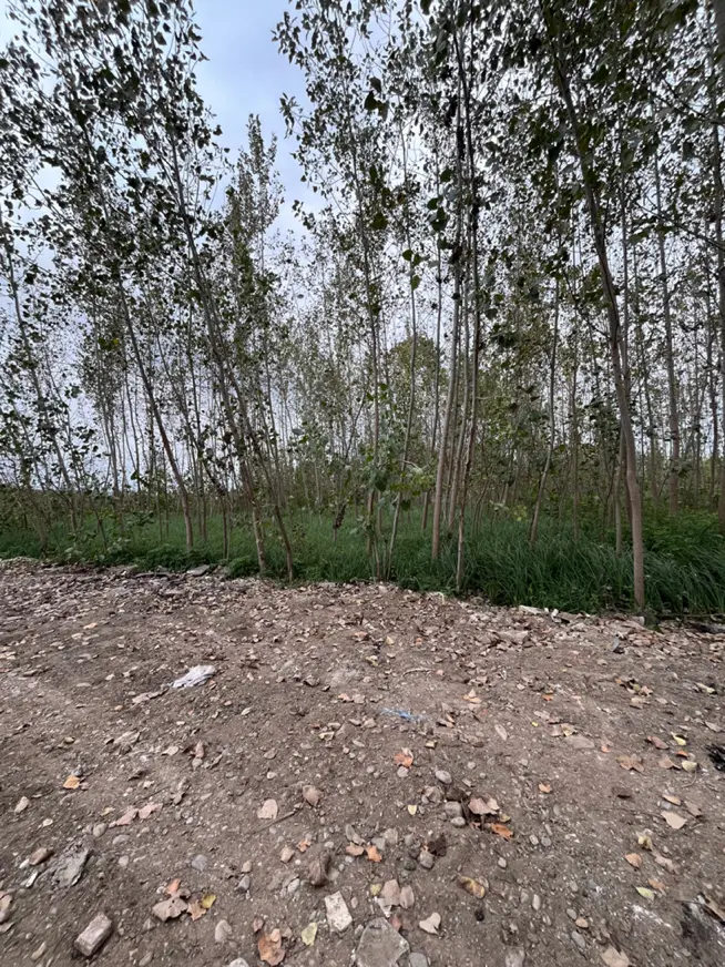فروش زمین ویلایی