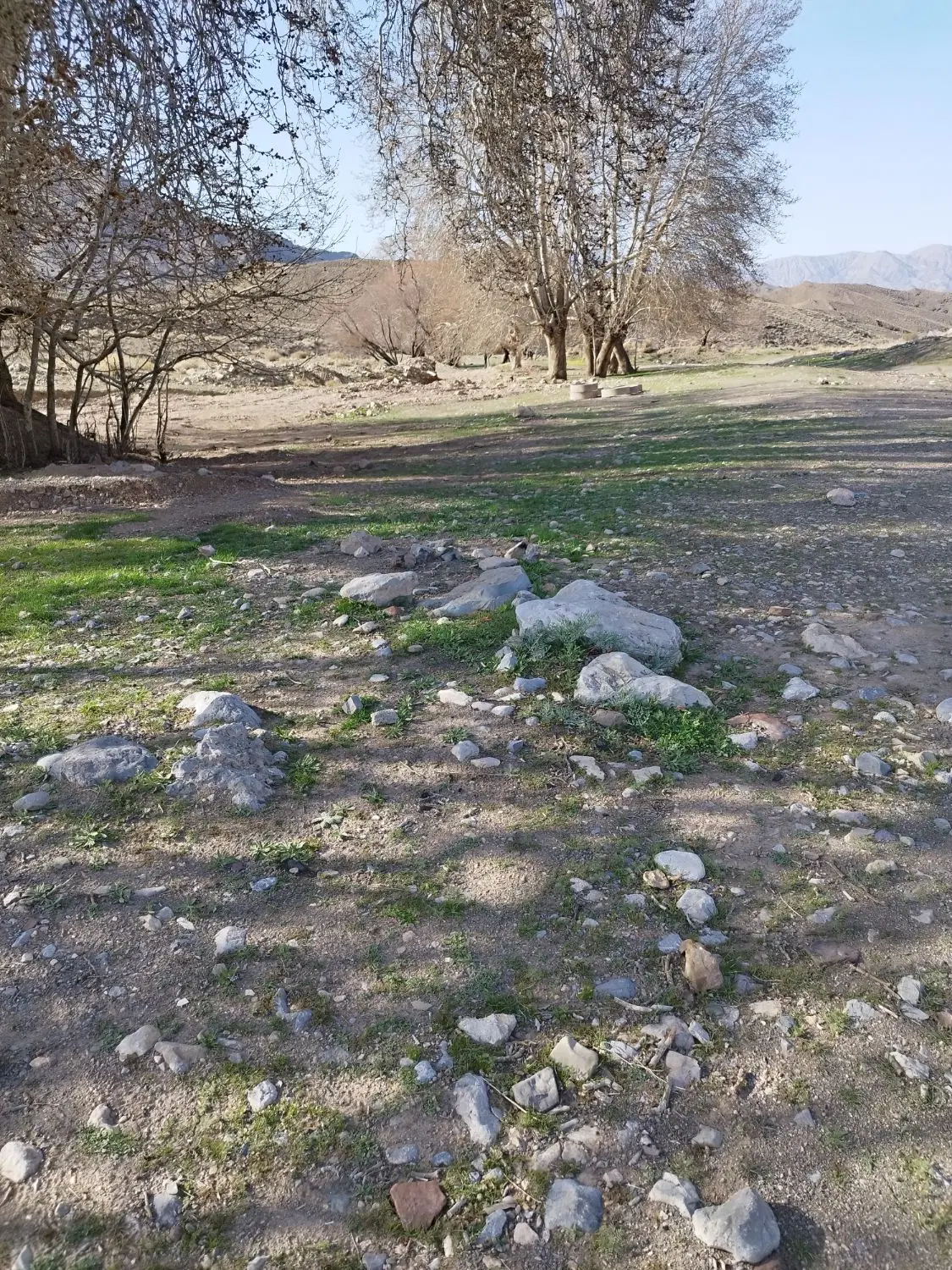 زمین مسکونی کوهپایه باهنر