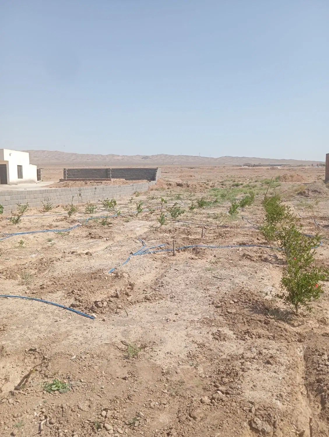زمین در جاده صد