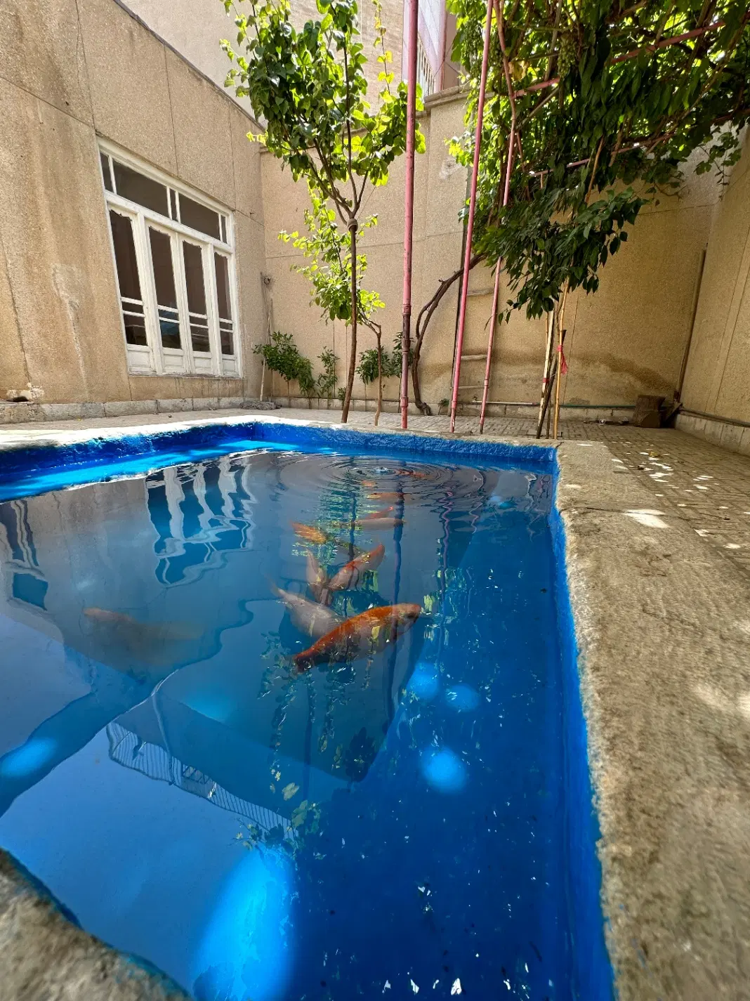 منزل ویلایی قدیمی 125 متر جنوبی مولوی ضابط زاده
