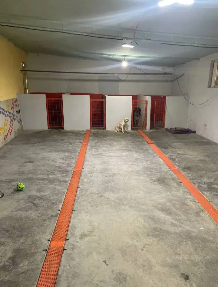 مجموعه کارگاهی