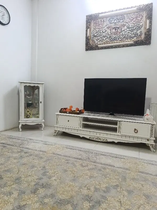 همخونه خانم سن 30تا40سال