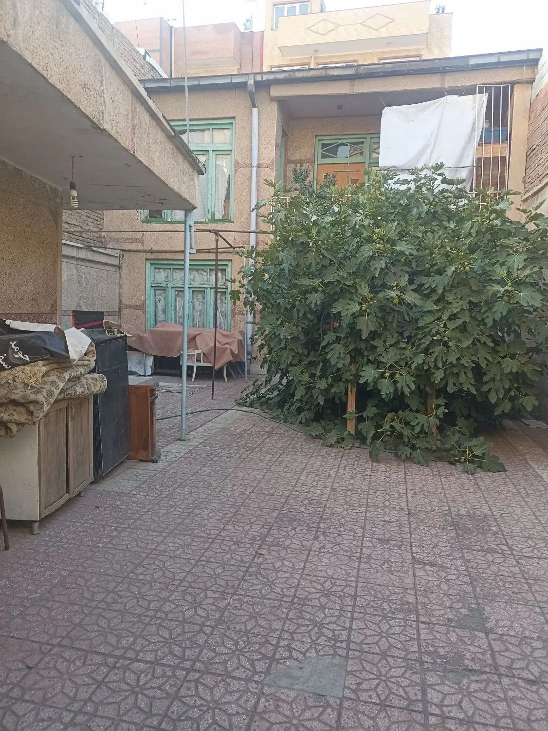 حیاط کلنگی در حافظ