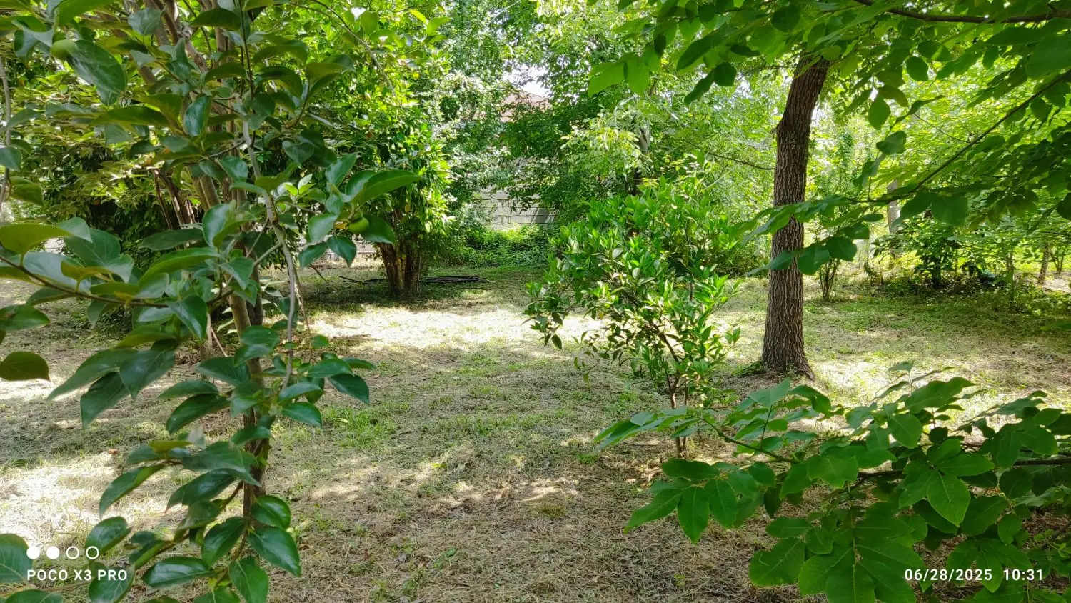 ۴۰۰ مترزمین کاملا مسکونی در مرکز شهر سنگر (رشت)