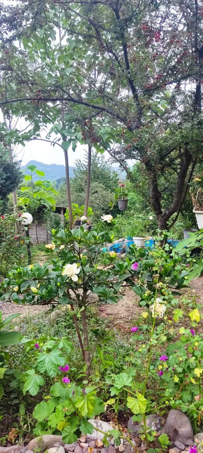 مشاوره رایگان خریدملک در گیلان برای همشهری اصفهانی