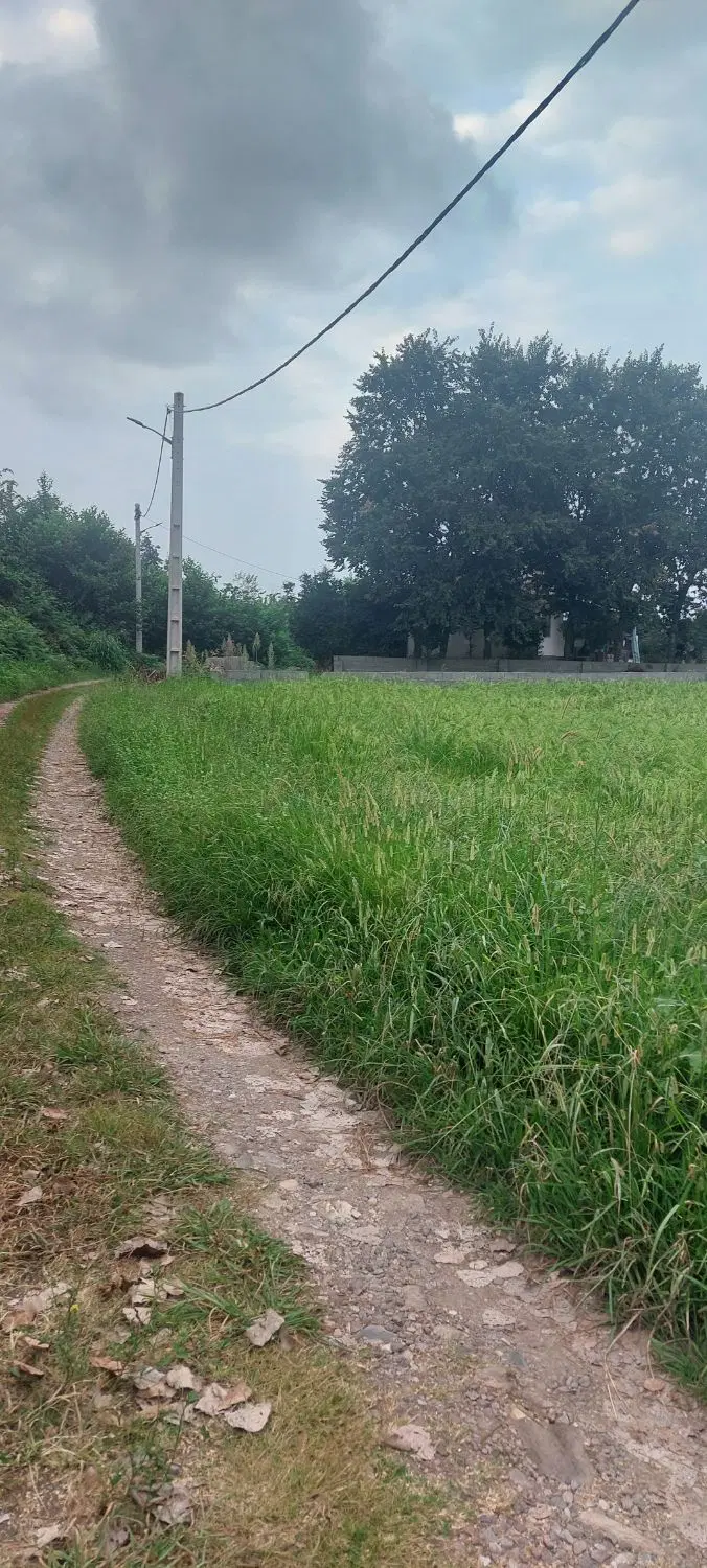 ۲۹۰ مترکاربری مسکونی جاده قلعه رودخان روستای گراکو