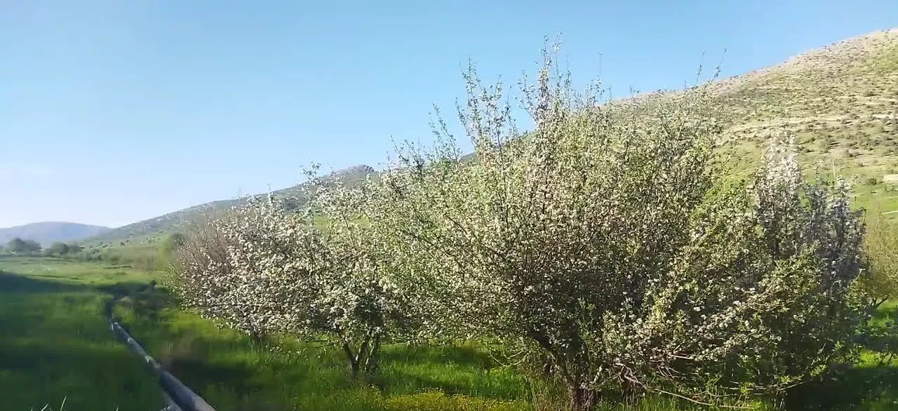 فروش باغ ثمری گرگوبلهزار