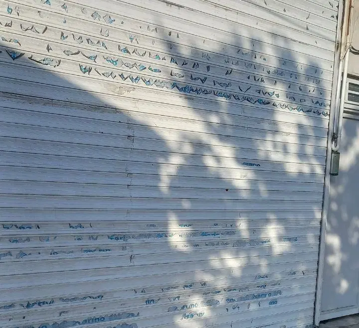 مغازه 12متری