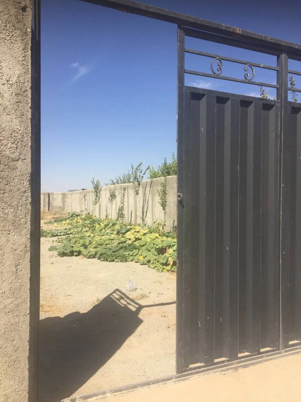 باغچه باغ مسکونی