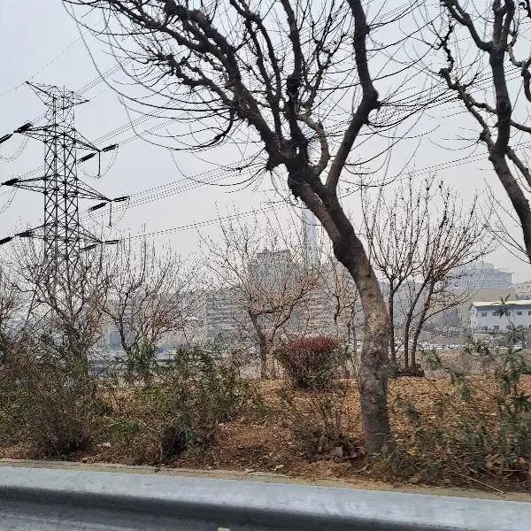 زمین کشاورزی خلیفه اباد