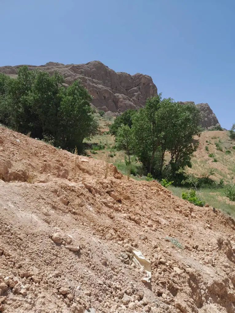 زمین باغ