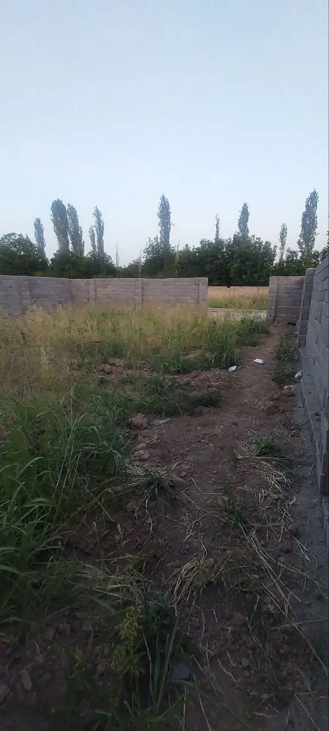زمین ۳۰۰ متری سند تک برگ