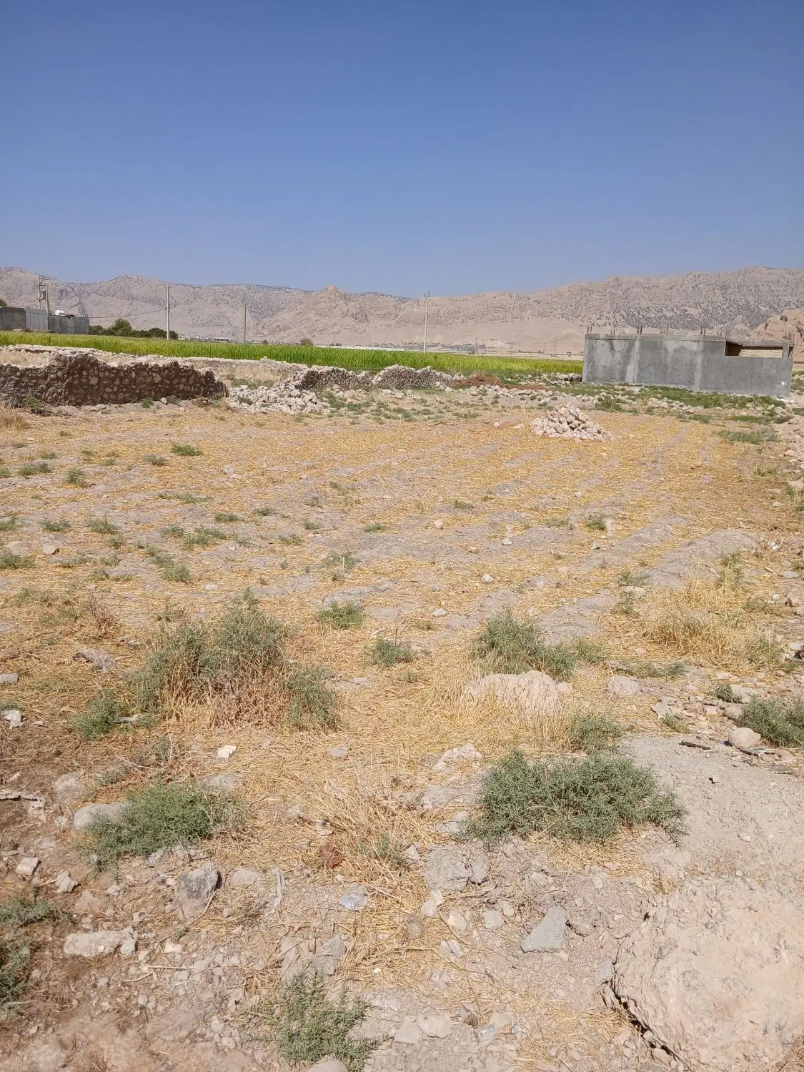زمین مسکونی