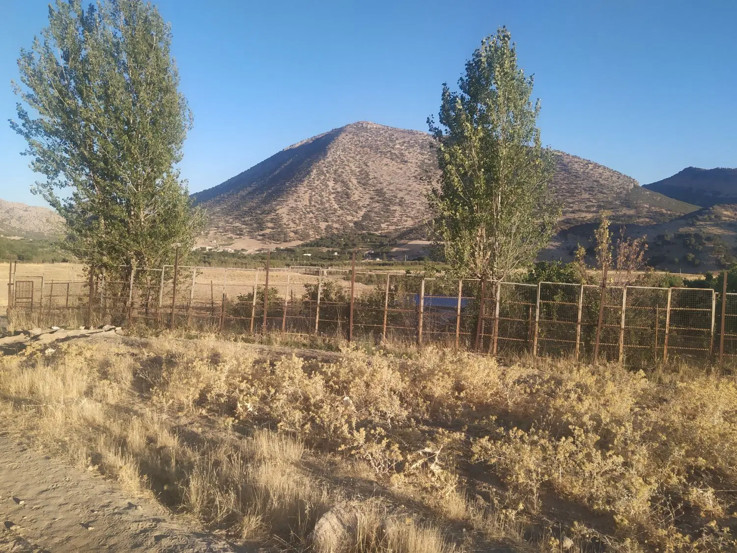 زمین مسکونی