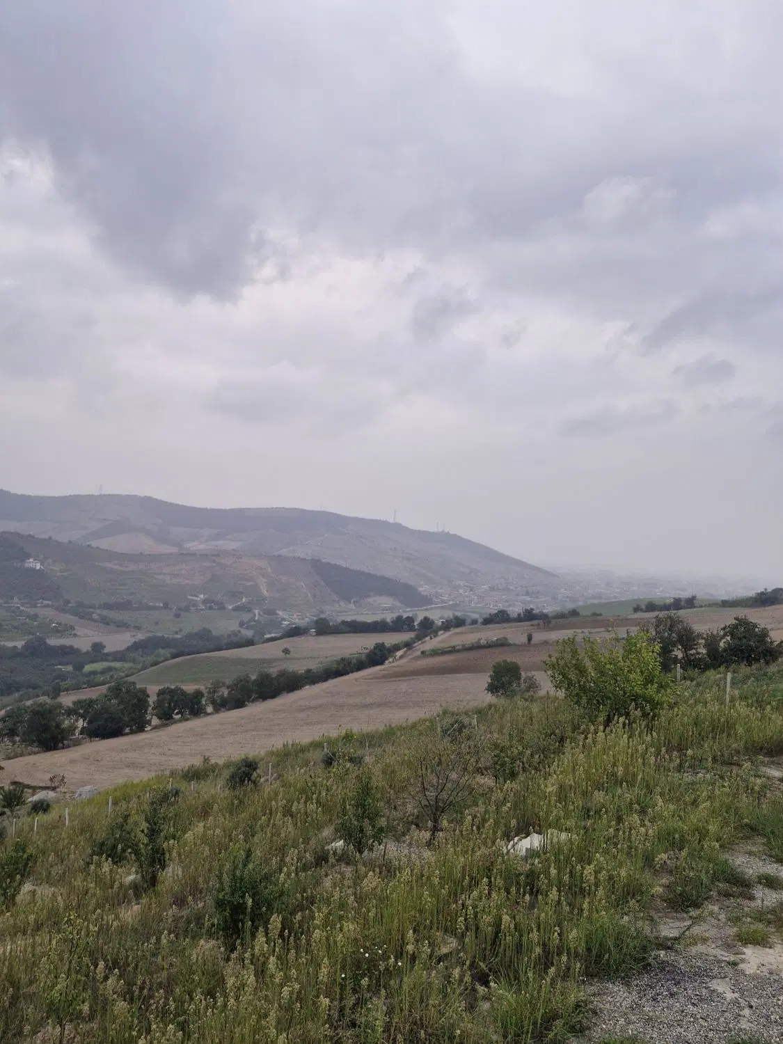 زمین گلند فخرآباد متری یک تومن